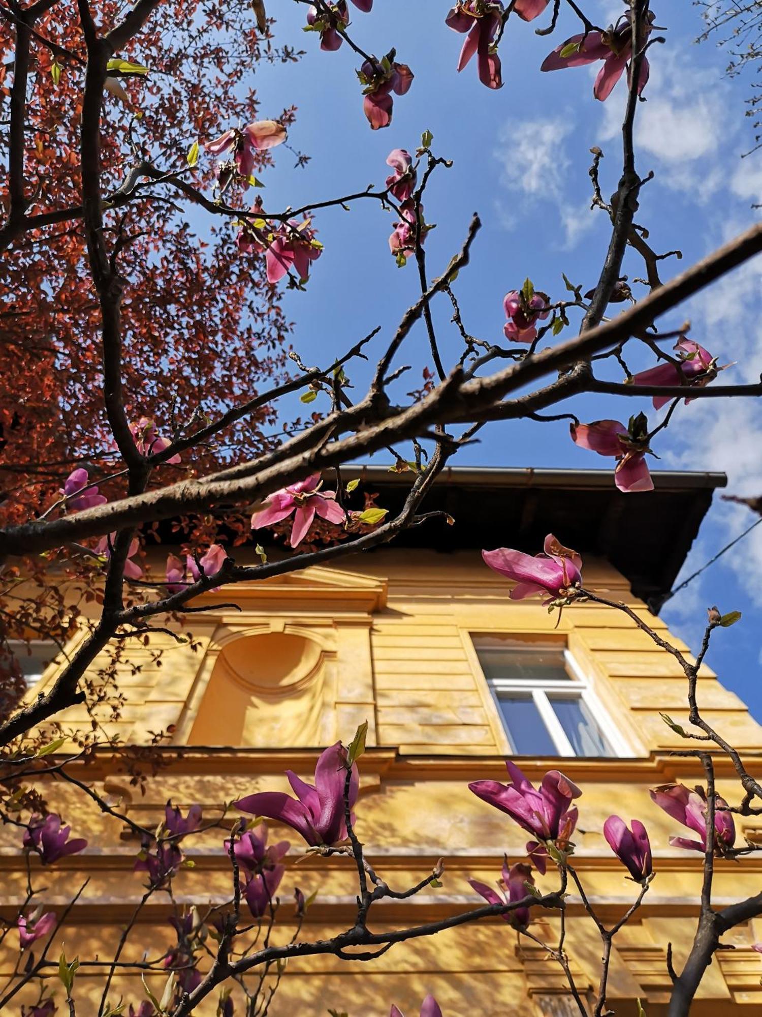 The Villa, Ljubljana City Center Bagian luar foto